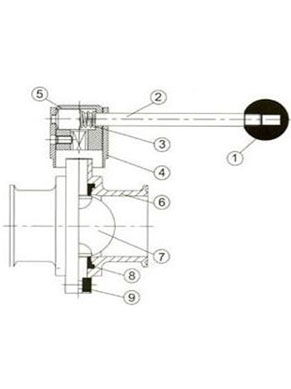 leptir_slavina_schema